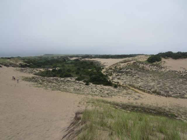 Walking Dunes
