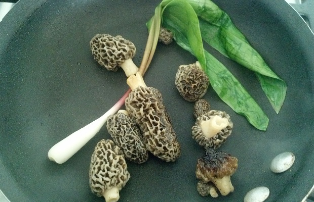 Morels and Ramp