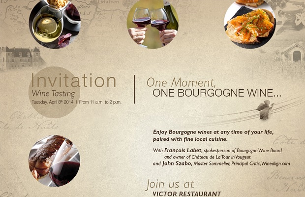 One Moment, One Bourgogne Wine... www.bourgogne-wines.com