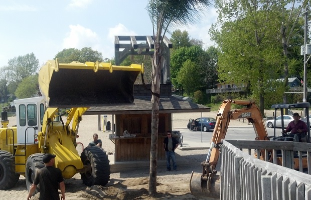 Planting palm trees in Port Dover