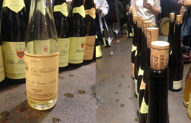 Pinot Gris Clos Windsbuhl Sélection de Grains Nobles 2010 and the tasting table PHOTO: Cassidy Havens, http://teuwen.com/