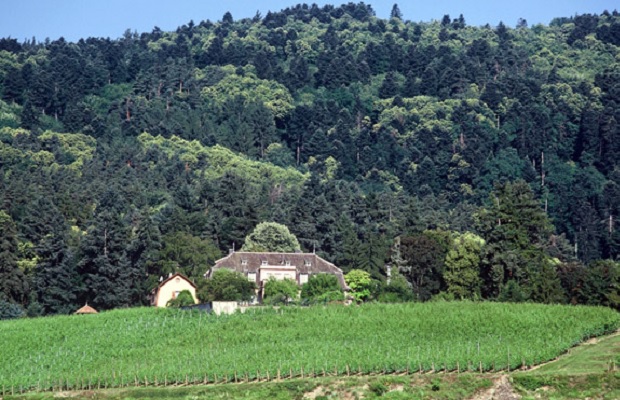 Le Clos Windsbuhl de Hunawihr PHOTO: http://www.zindhumbrecht.fr