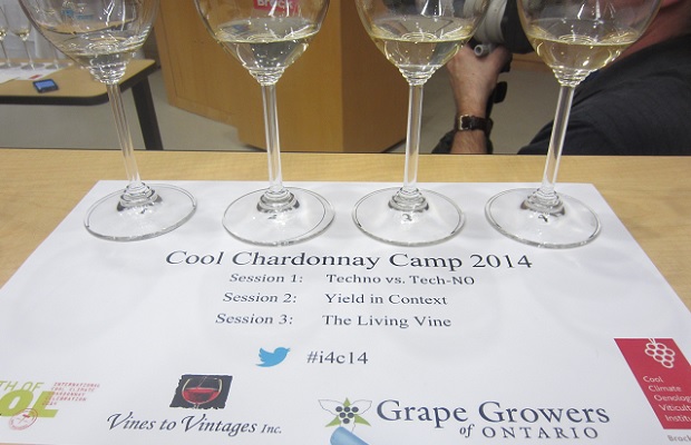 Cool Chardonnay Camp Photo: Michael Godel