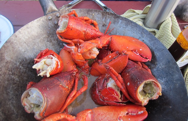 East Coast Lobsters Photo: Michael Godel