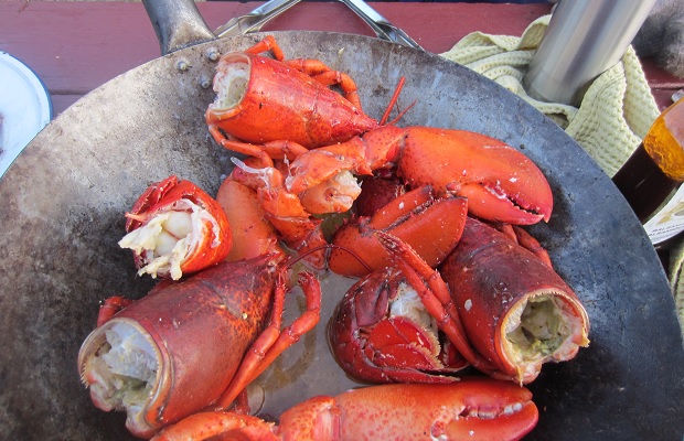Maine Lobsters