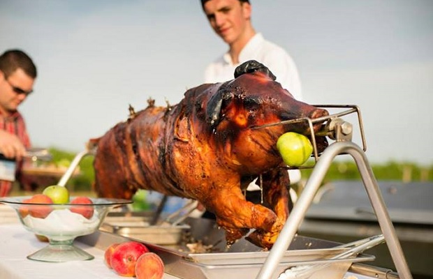 Niagara's own PigOut Roasters, Image (c) Sherry Galey Photography