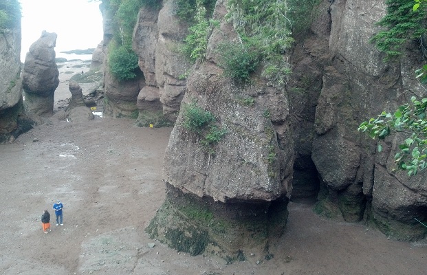 The Flower Pot Rocks