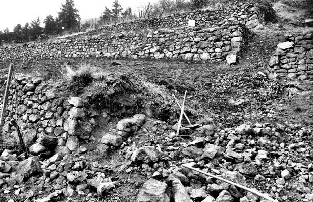 The Vineyards of Domaine Albert Mann photo (c) https://www.facebook.com/albertmannwines