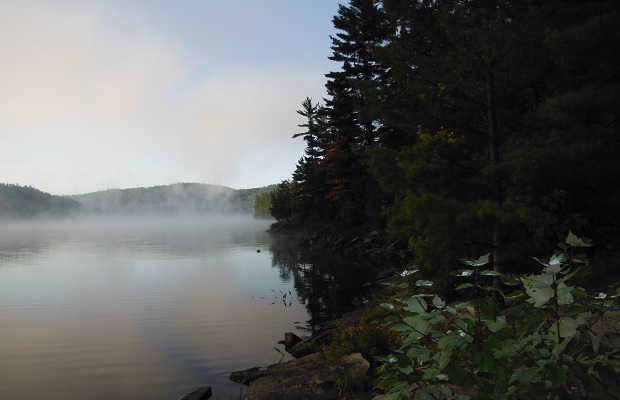 Algonquin Park, October 2014