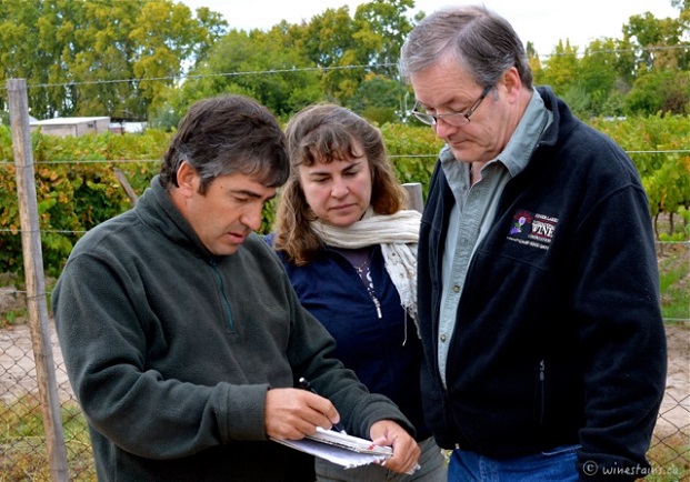 Versado Vineyard Manager Sergio Rinaldi reviews the plan for the harvest with winemakers Ann Sperling and Peter Gamble Photo: (Elene Galey-Pride, www.winestains.ca)
