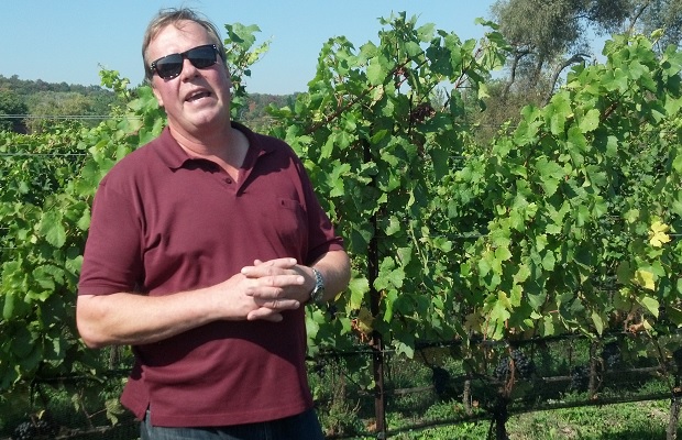 Harald Thiel in front of Pinot Noir vines in the Felseck Vineyard