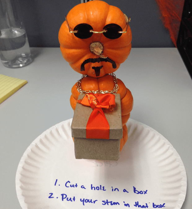 Stem in a Box Photo (c): www.