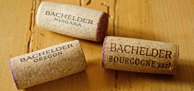 Bachelder Wines Photo: (Elene Galey-Pride, www.winestains.ca)