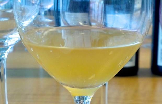 Southbrook Whimsy! Orange wine 2014