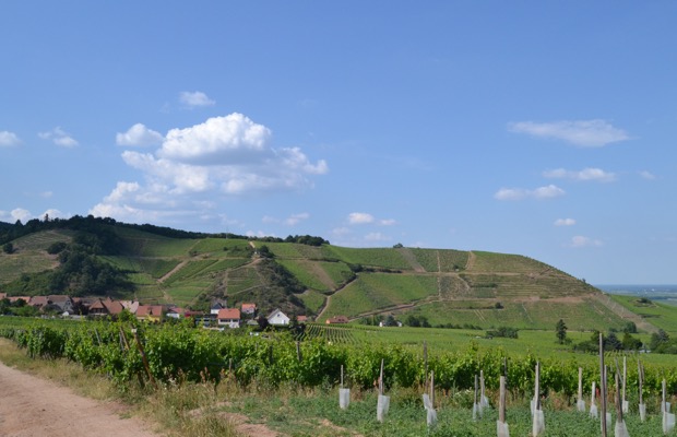 Sommerberg (c) Cassidy Havens, http://teuwen.com/