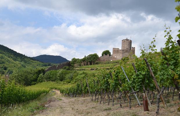 Schlossberg Castle, (c) Cassidy Havens, http://teuwen.com/