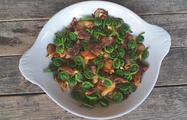 Oyster, Fiddlehead, Morel