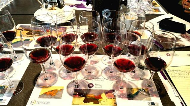 A Gamay Masterclass, Terroir Hospitality Symposium, May 11, 2015, Arcadian Court 