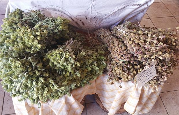 Kalavryta Mountain Tea