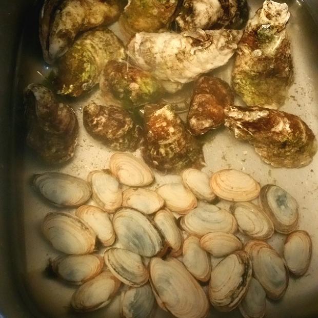 Longnecks and Oystahs