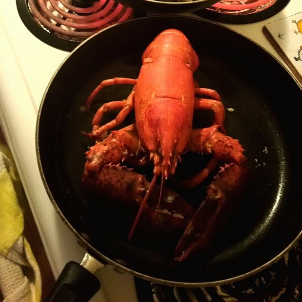 PEI Lobster