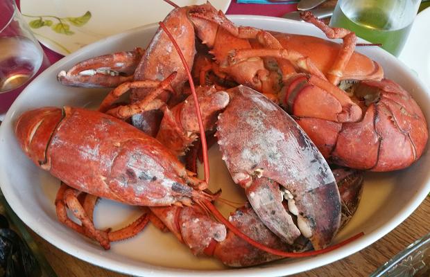 PEI lobsters