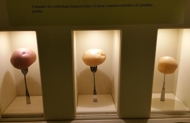 Potato Museum, PEI