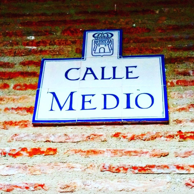 "In the middle of the road you see the darndest things" #alquezar #pyrenees #somontano