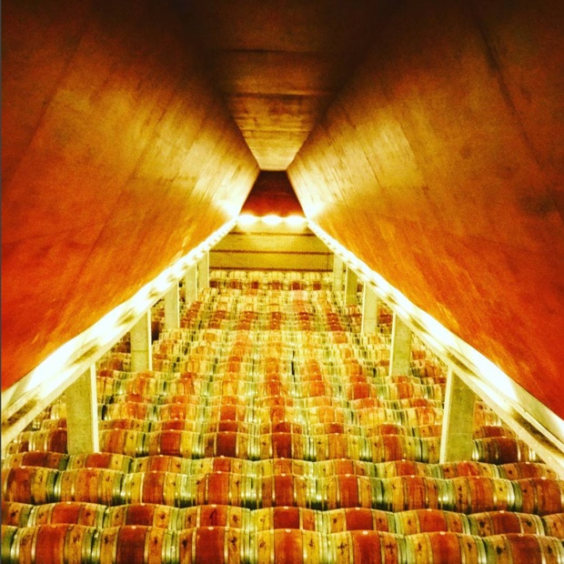 The Barrel Cellar at @VinosEnate. Muchas gracias for the tour and the hospitality. Para todo @DOsomontano