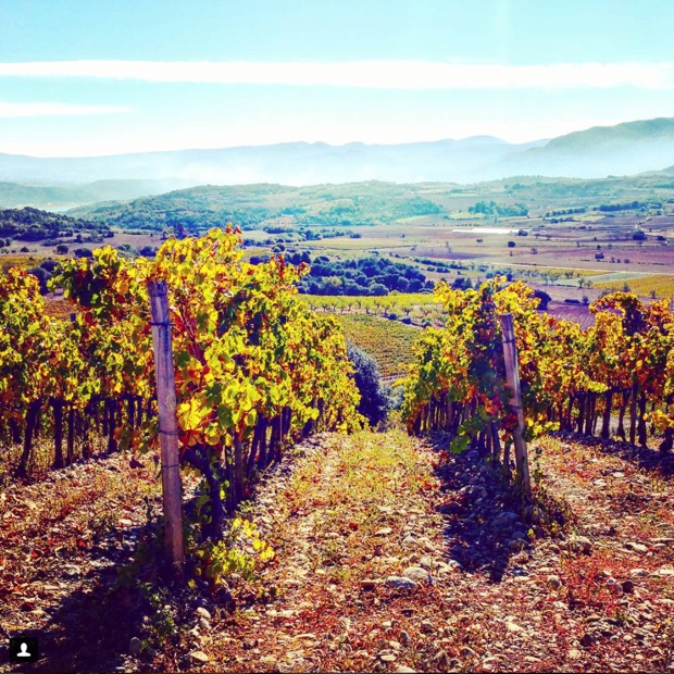 Breath taken away by Jose Antonio's Secastilla #garnacha with altitude @DOSomontano #aragon