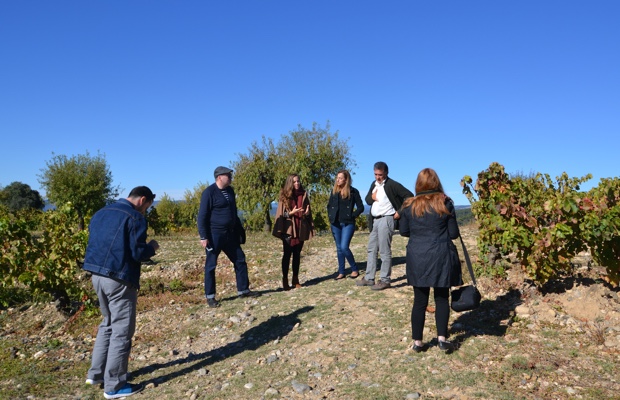 Canadian journalists in the vineyards of Secastilla, Somontano. Photo (c) Ivo André Alho Cabral
