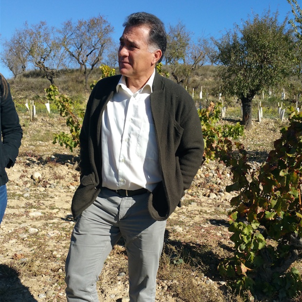 Viñas del Vero's José Antonio in the Secastilla vineyard