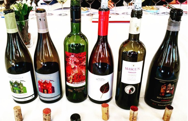 Somontano wines at Bodega Pirineos