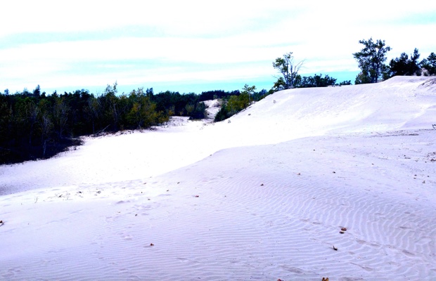 The Dunes, Sandbanks, Prince Edward County