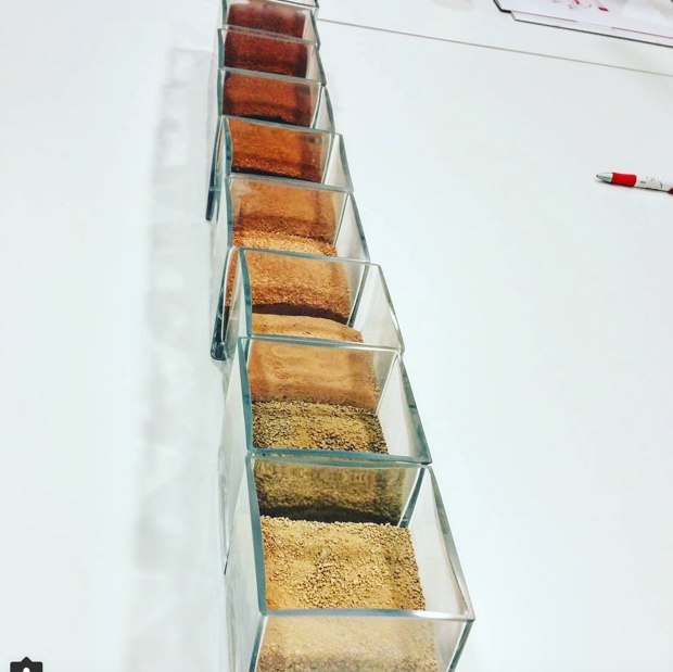 The soils of Campo de Borja