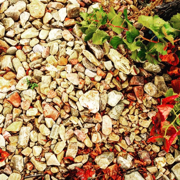 Cariñena rocks! Autochthonous soils and their stones @DoCarinena @winesofgarnacha #bushvines #aragon #espana