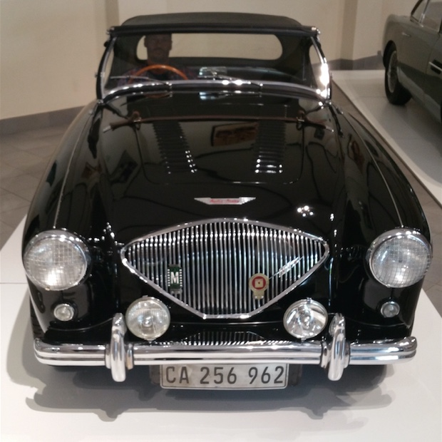 Godello behind the wheel of an Austin-Healey 100 M, Franschhoek Motor Museum