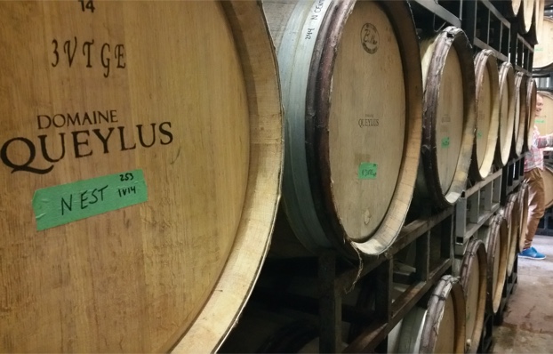 In the barrel cellar, Domaine Queylus