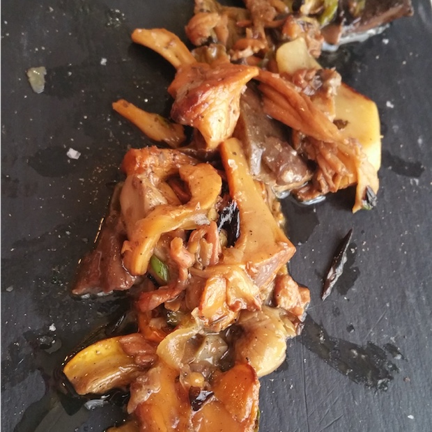 Mushrooms, Casa Escartin, Calatayud