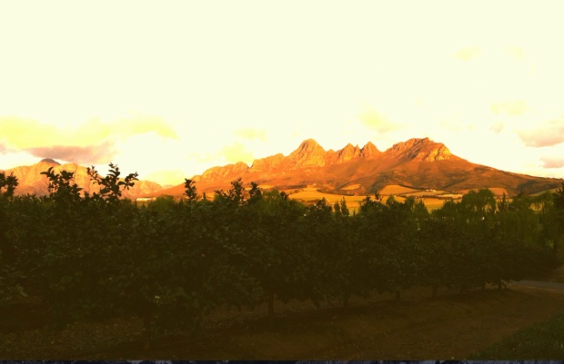 The view from the Winery of Good Hope