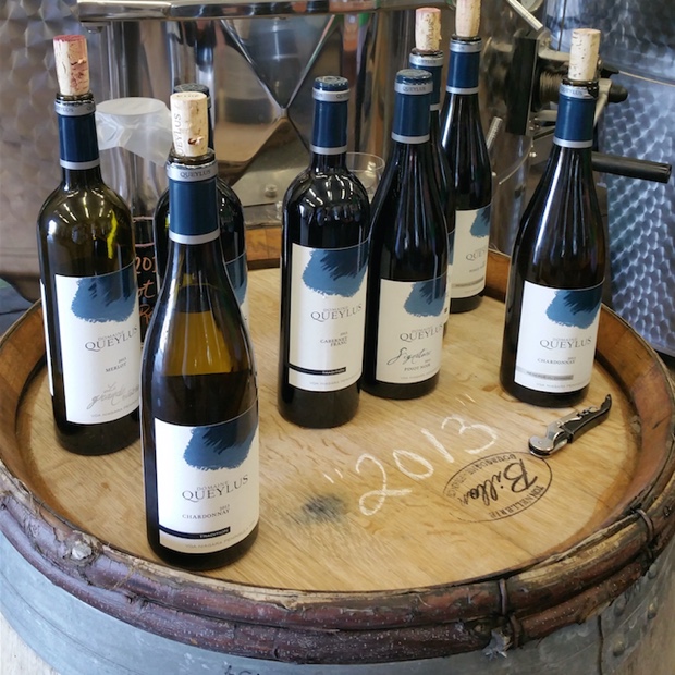 The wines of Domaine Queylus