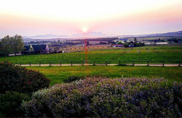 Working on South Africa with a sundown over Stellenbosch @WOSACanada