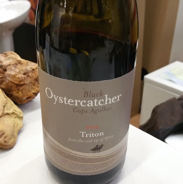 Black Oystercatcher Triton 2013 