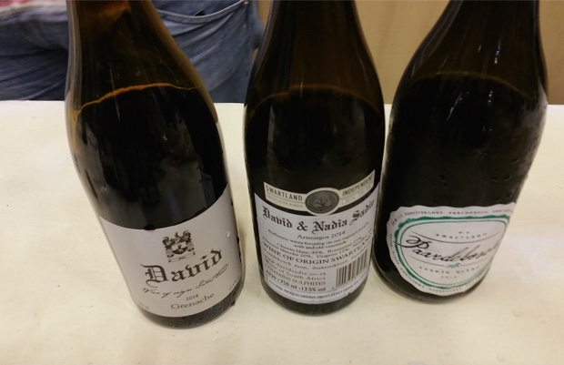 David and Nadia Sadie