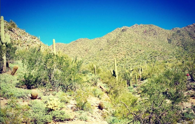 Like a walk in the desert