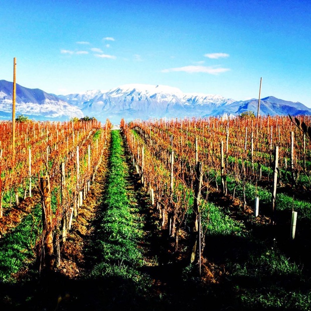 On the final, fourth day the most exceptional #bellavista becomes clear @LAlbereta #lagodiiseo #dolomites