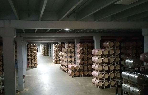 The barrel cellar at Frei Brothers