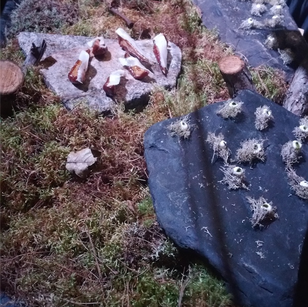 Forest flavours of Actinolite