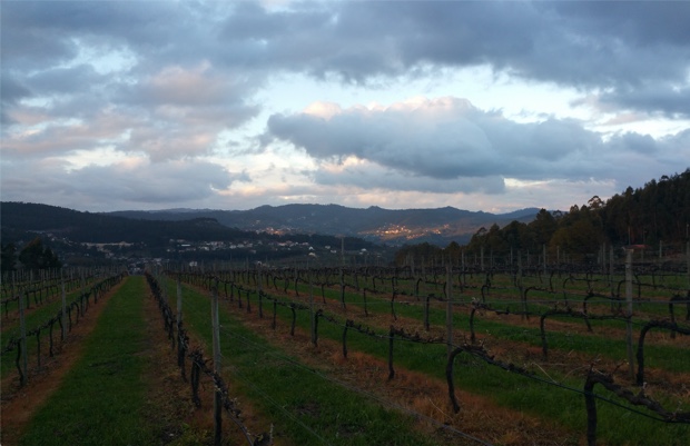 Vinho Verde, Portugal