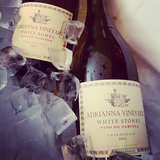 "Bones sinking like stones, all that we fall for." @LauraCatenamd we live in a beautiful world when #chardonnay does this, and that #adriannavineyard #catenawines #bodegacatenazapata #gualtallary #tupungato #mendoza #vinodeparcela #whitebones #whitestones